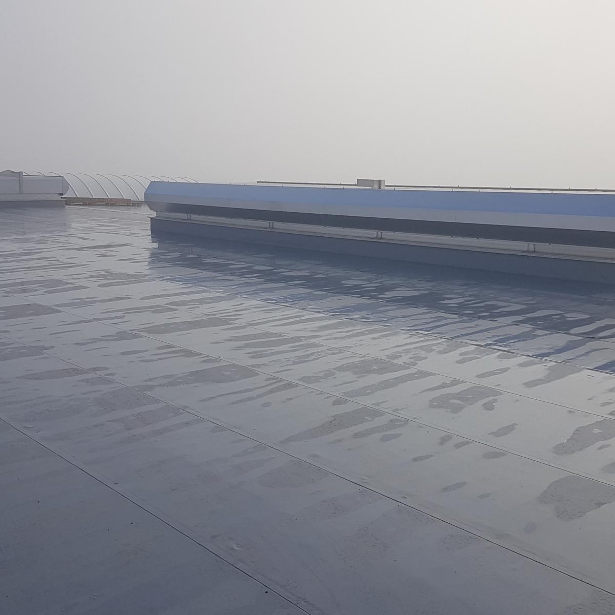 20181205_114129_nahled