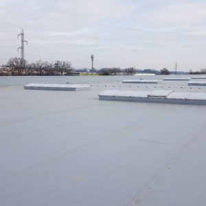 20200217_123437_nahled